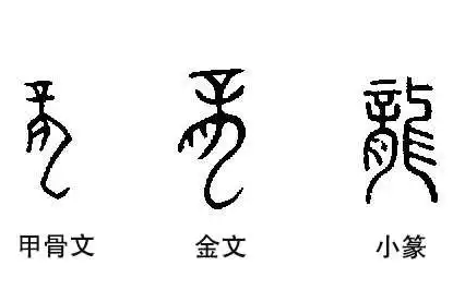 龙姓的渊源：探索上古御龙氏后裔的姓氏起源