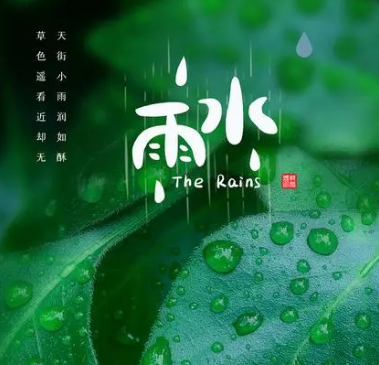 雨水节气：中国农历的第二个节气