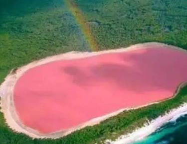 探秘塞内加尔的粉红奇迹：玫瑰湖