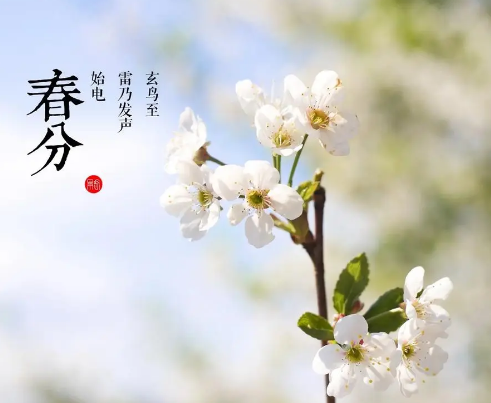 春分节气：春季已过一半的标志
