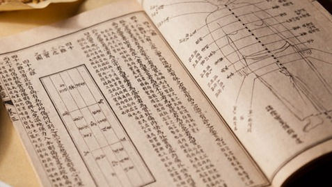 Zhu Danxi and the Theory of Yin Nourishing: A Treasure of Ancient Medicine