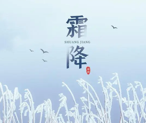 Frosts descent: prelude to cold winter, welcoming the beginning of winter