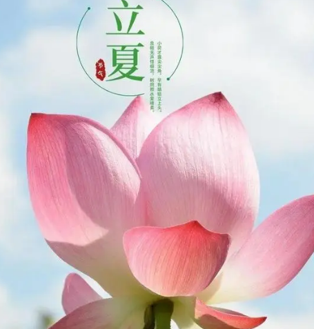 立夏节气：迎接夏日的到来
