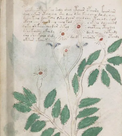 Unveil the Mystery of the Voynich Manuscript