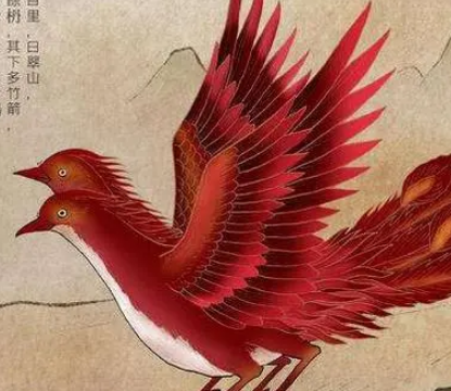 山海经十大神鸟有哪些：鲲鹏体型巨大