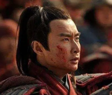 杨再兴：杨家将的后代，继承家族精神