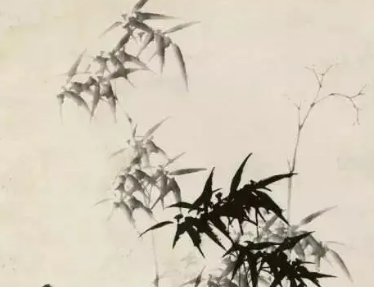 郑板桥与竹子：艺术的契合