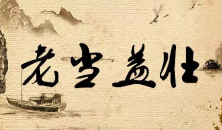 老当益壮的传奇——记马援将军的不朽事迹