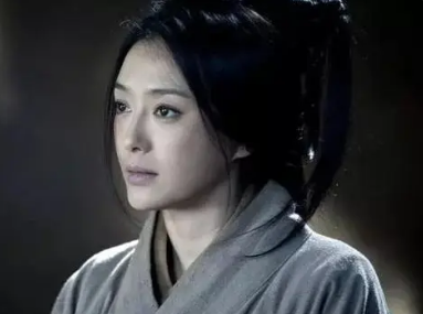 Exploring the Truth of Lady Qis Fate as a Human Pig