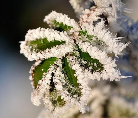 一年中最冷的节气：大寒与小寒的较量