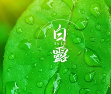 白露节气有什么含义？