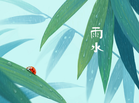 雨水节气：古老的季节划分与现代的意义
