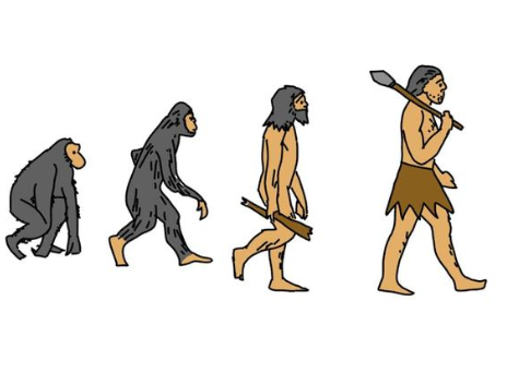 人类起源之谜：从第一个猿猴到现代人类的进化之路