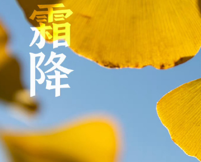 霜降与立冬：自然节气的深意