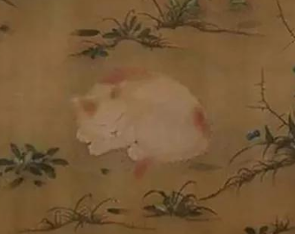古人为何不吃猫肉本草纲目给出答案（有寄生虫）