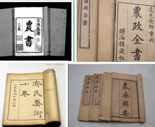古代四大农书：农业智慧的结晶