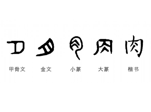汉字之源：从甲骨文到现代汉字的演变之旅