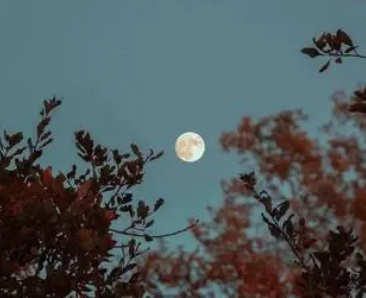 月夜怀乡——解读古诗中的思念之情