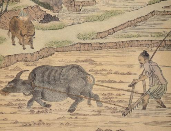 摊丁入亩：古代土地税收制度的革新