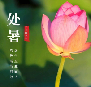 今日处暑，处暑应该注意哪些问题？