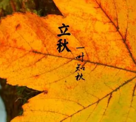 立秋是哪一天？节气特点是什么？