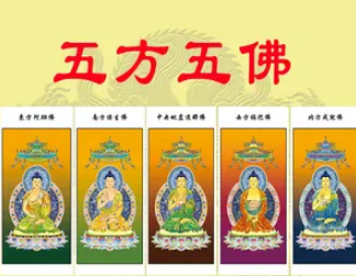 佛讲的人生五业：洞悉生命的深层意义