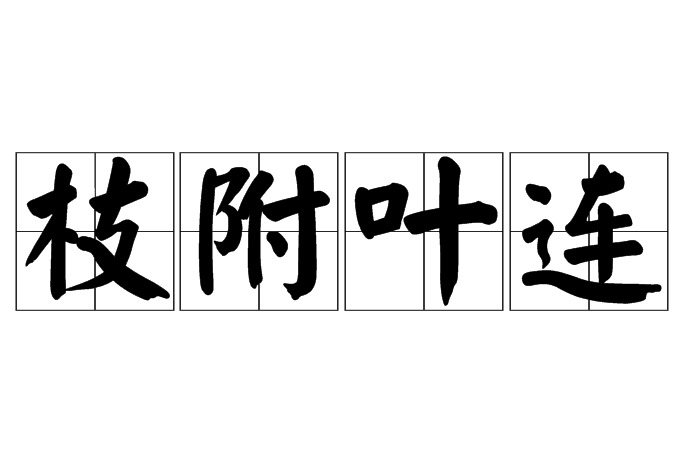 探究“枝附叶连”的含义与应用