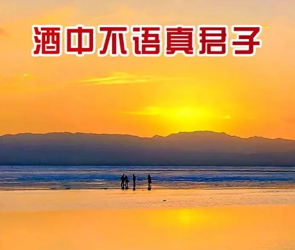 酒中不语真君子——探究古诗文中的饮酒文化