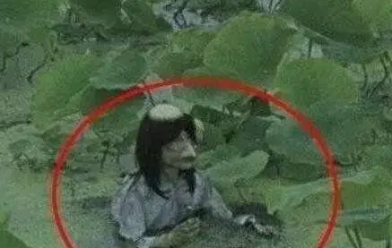 探秘中国的罕见奇闻