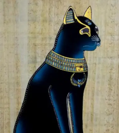 古埃及的神圣守护者：猫