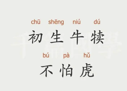 初生之犊不惧虎——勇气与无知的辨析