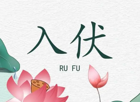 入伏从哪一天开始算起？