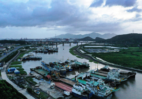 岑港：浙江省舟山市的宁静之地
