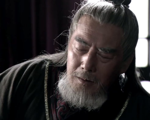 秦国的未来与秦哀公的儿子