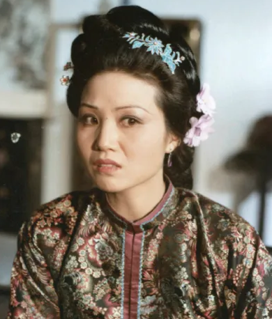 红楼梦中赵姨娘的身份解读