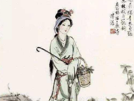 秦罗敷的悲剧人生：美貌与命运的交织