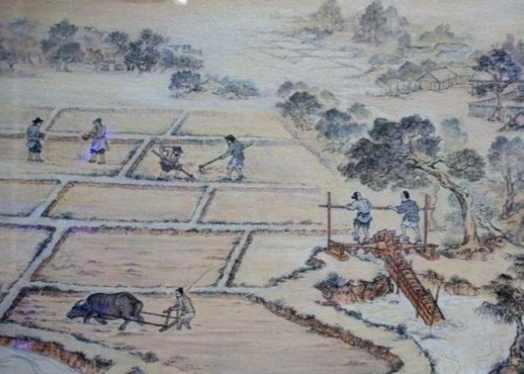 均田制：中国古代的土地分配制度