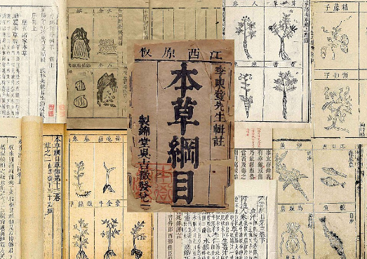 本草纲目：药物学巨著的诞生与影响