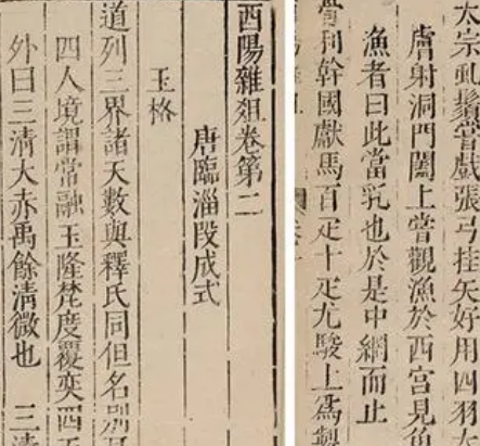 段成式与酉阳杂俎：唐代笔记小说的瑰宝