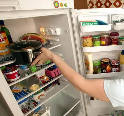 食品安全与储存——探讨剩饭剩菜是否应该直接放冰箱