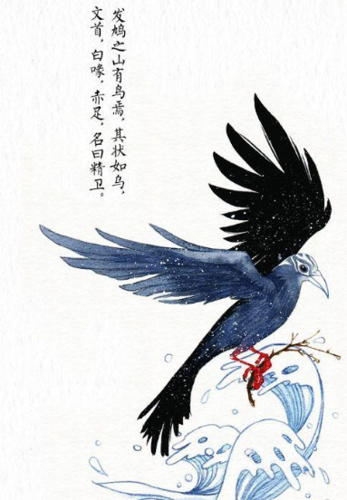 精卫鸟：传说与现实的探寻