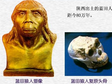 蓝田人：陕西的古人类遗迹