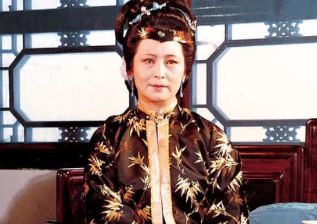红楼梦中的家族纠葛与王夫人的身份