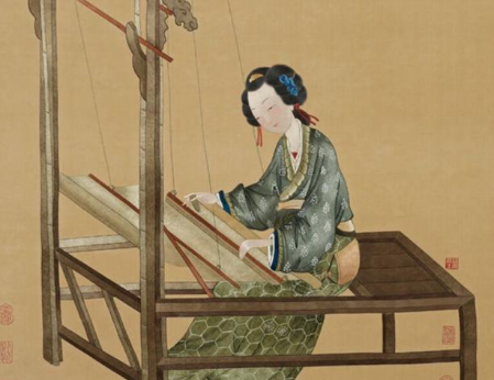 苏若兰的传奇人生
