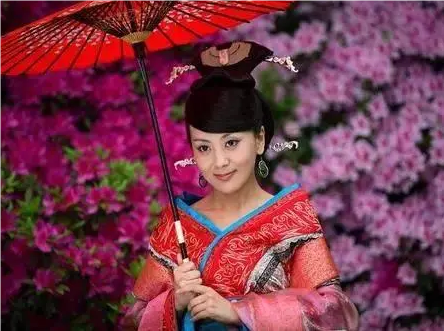 傅昭仪与山阳王：汉代宫廷中的权力与影响