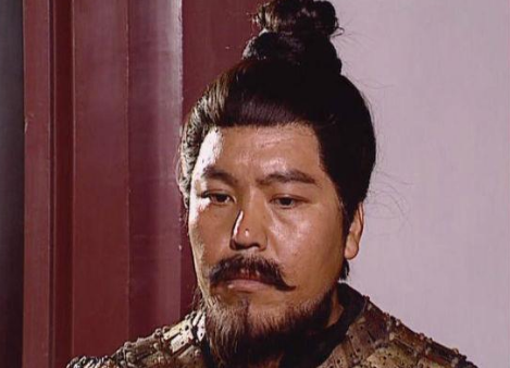 王昶与三国战事：战绩与影响