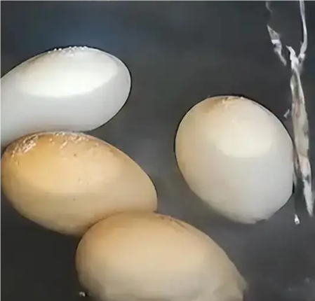烹饪小贴士：如何防止煮鸡蛋时破裂