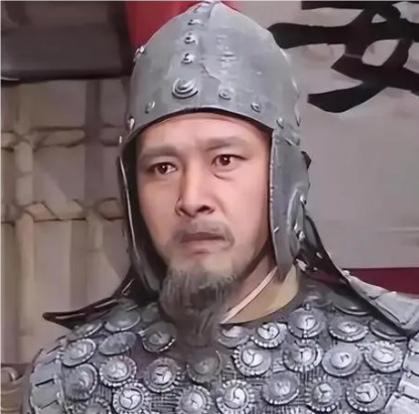 姜维的最后一计：悲壮与失败的双重奏