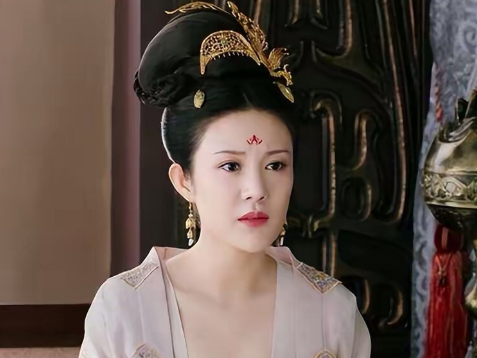 宫廷悲剧：袁齐妫与儿子的复杂关系