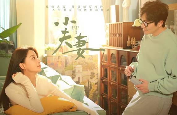 小夫妻讲述了什么故事？小夫妻是什么类型的剧？